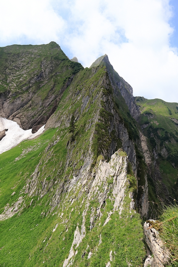 104 Kleine Höfats Nordostgrat von der Stiege.jpg