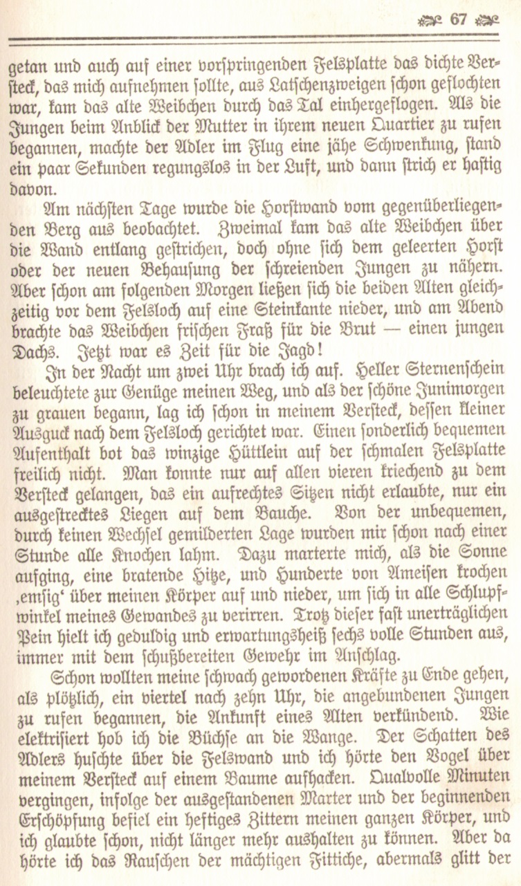 1086_Ludwig Ganghofer - Hubertusland 1912_10p.jpg