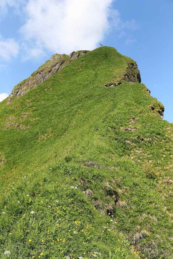 1101_IMG_5516.jpg