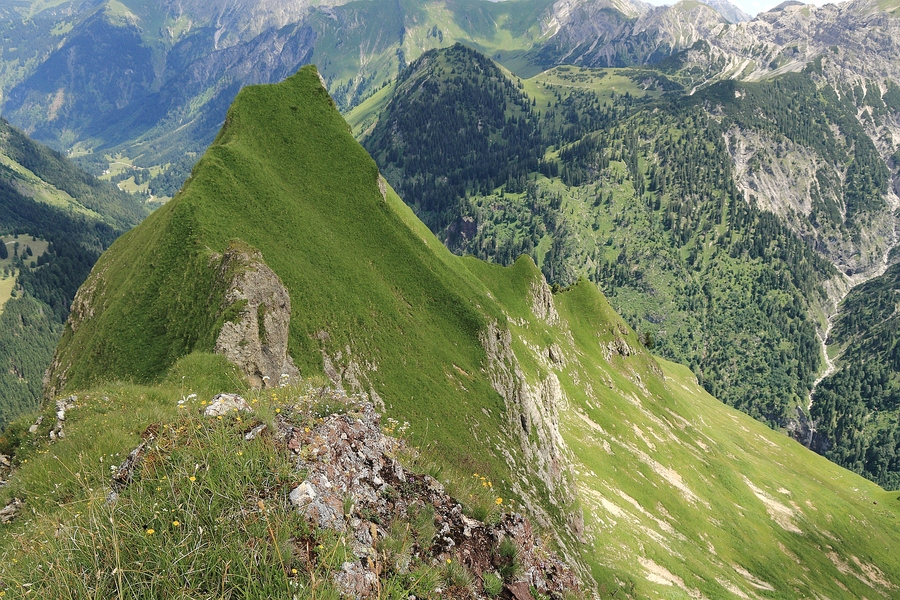 1107_IMG_9587.jpg