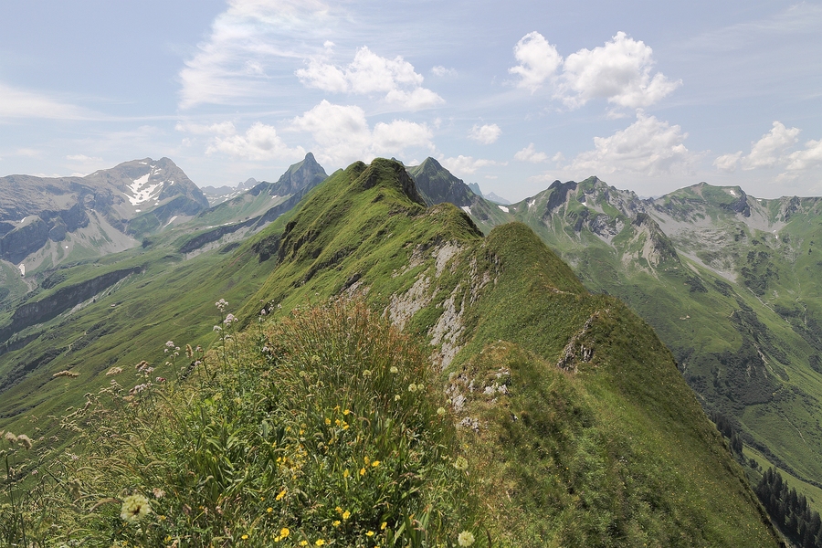 1110_IMG_7319.jpg