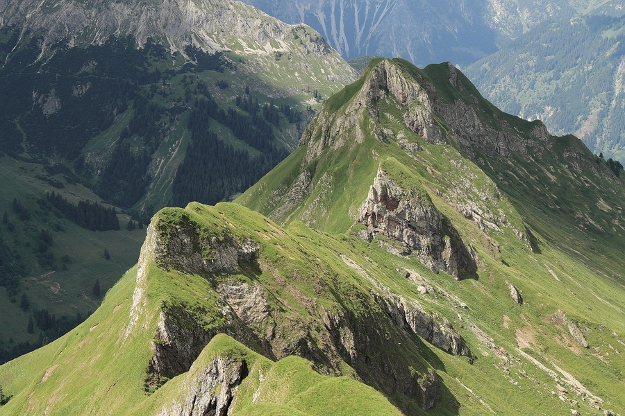 1131_IMG_9845.jpg