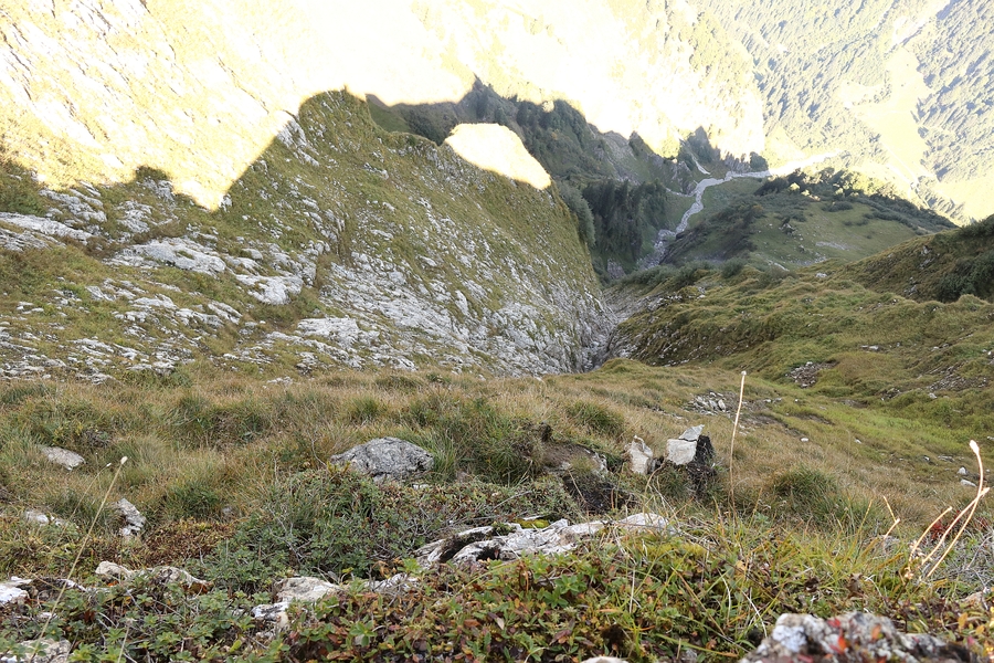 114_IMG_8884b.jpg