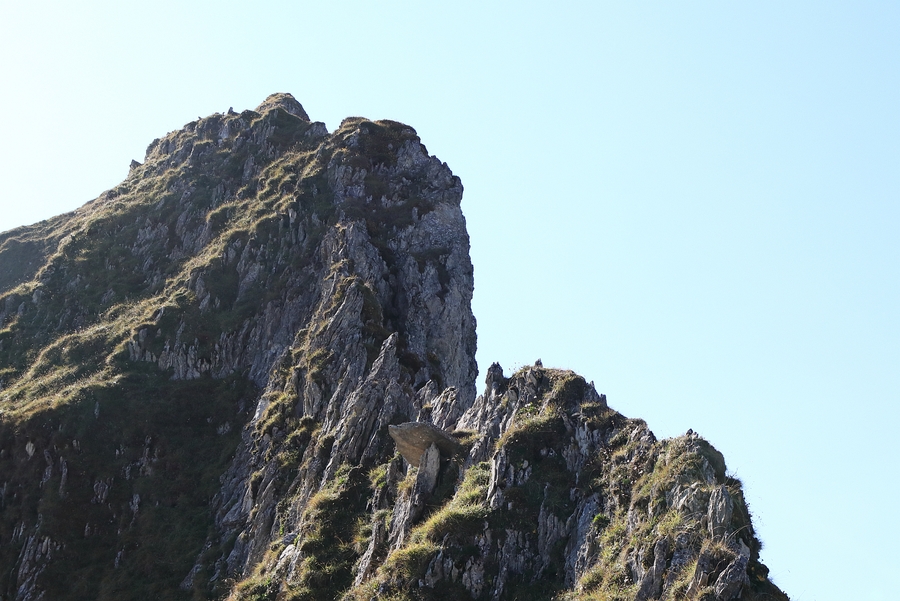 130_IMG_8956b.jpg