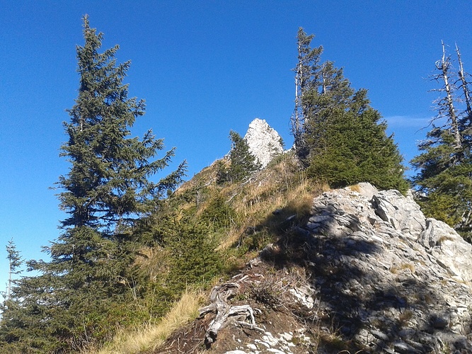 1591697l.jpg