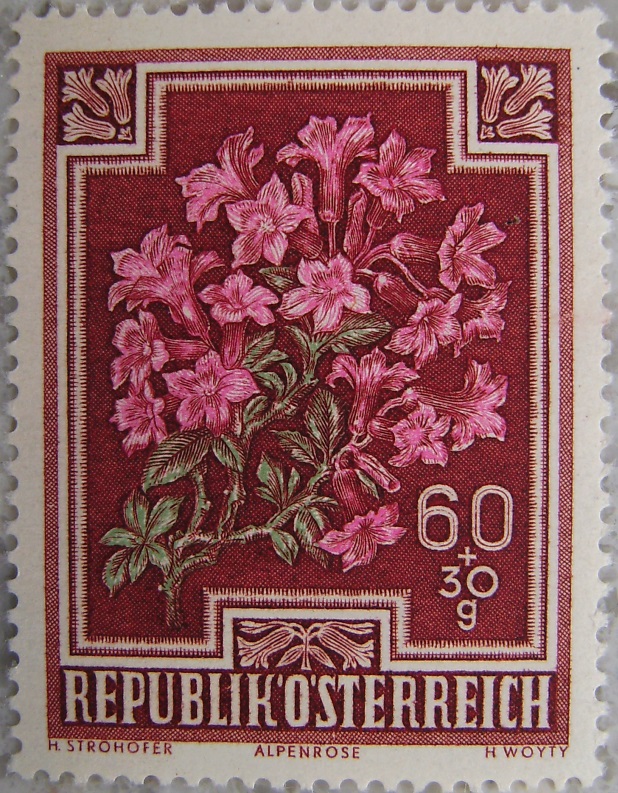 1948_06 Alpenrosep.jpg