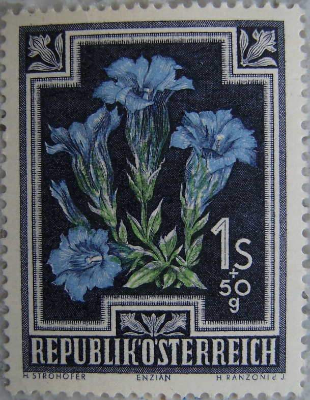 1948_09 Enzianp.jpg