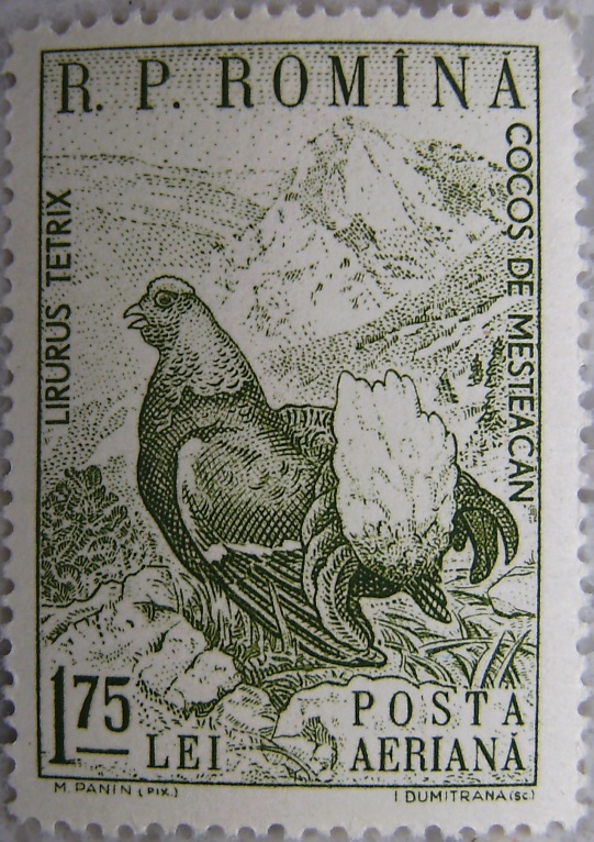 1960_Rumaenien2p.jpg
