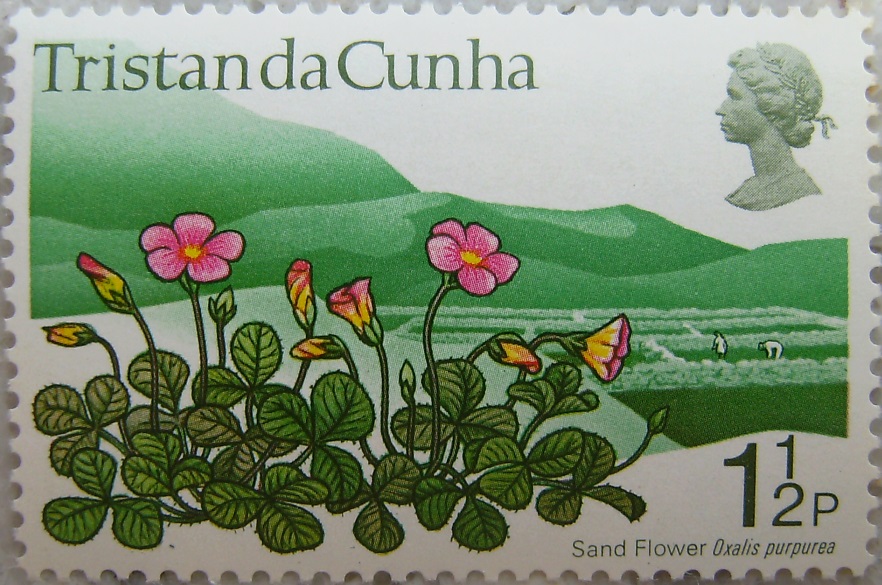 1972_Tristan da Cunha03p.jpg