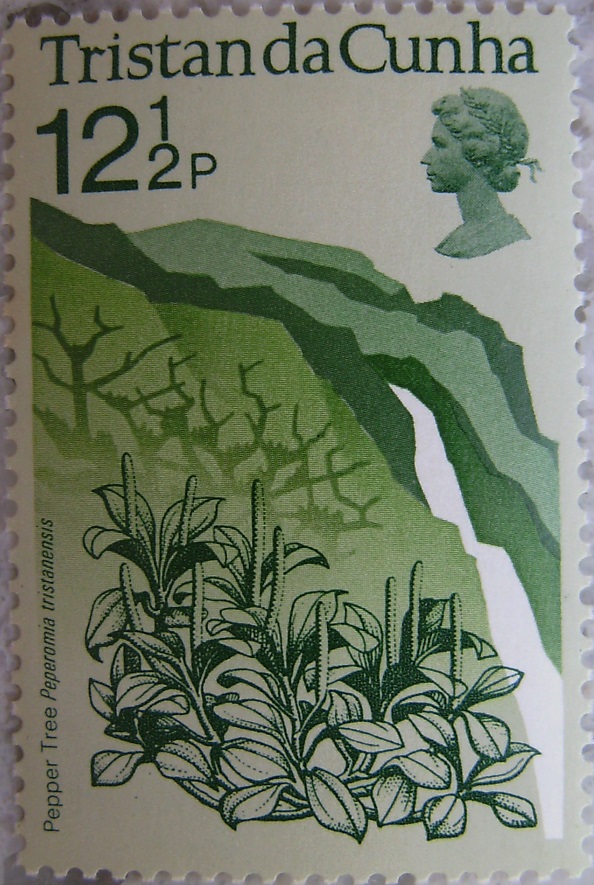 1972_Tristan da Cunha09p.jpg