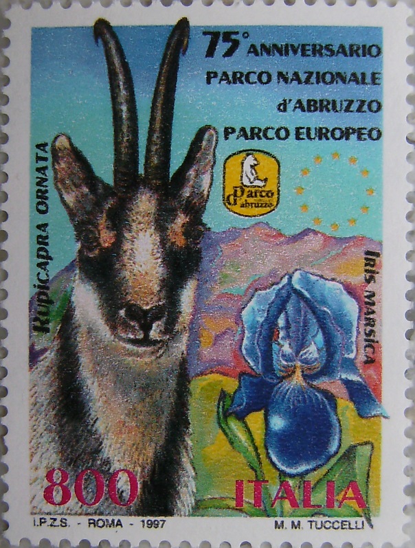 1997_Italienp.jpg