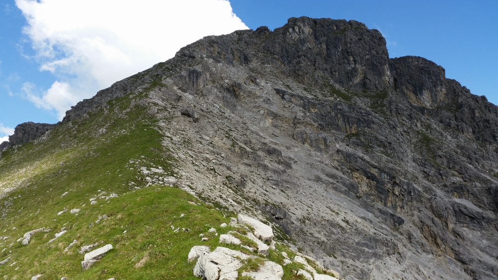 20140717_091029 (1000x563).jpg