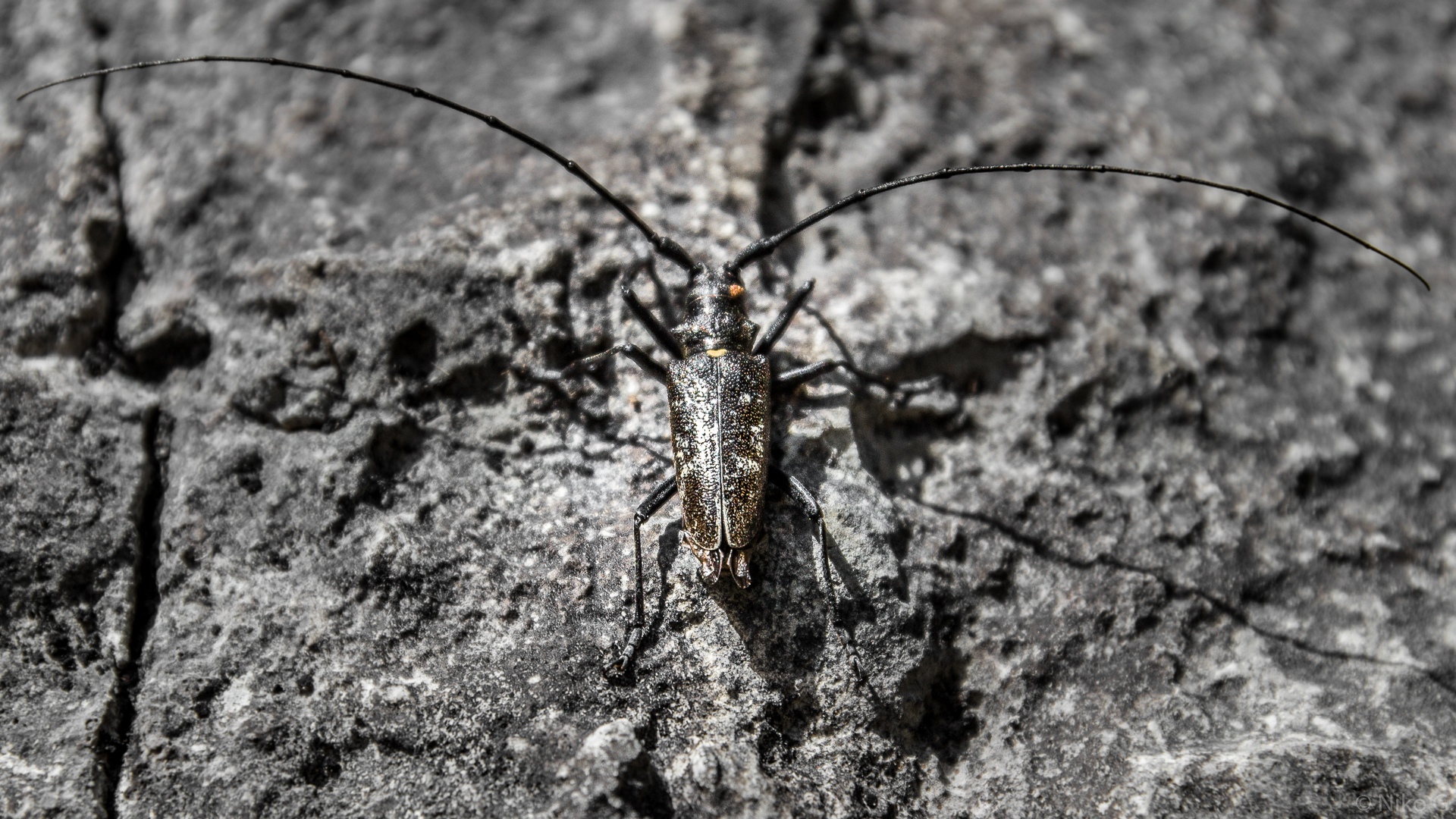 20140817-17.jpg