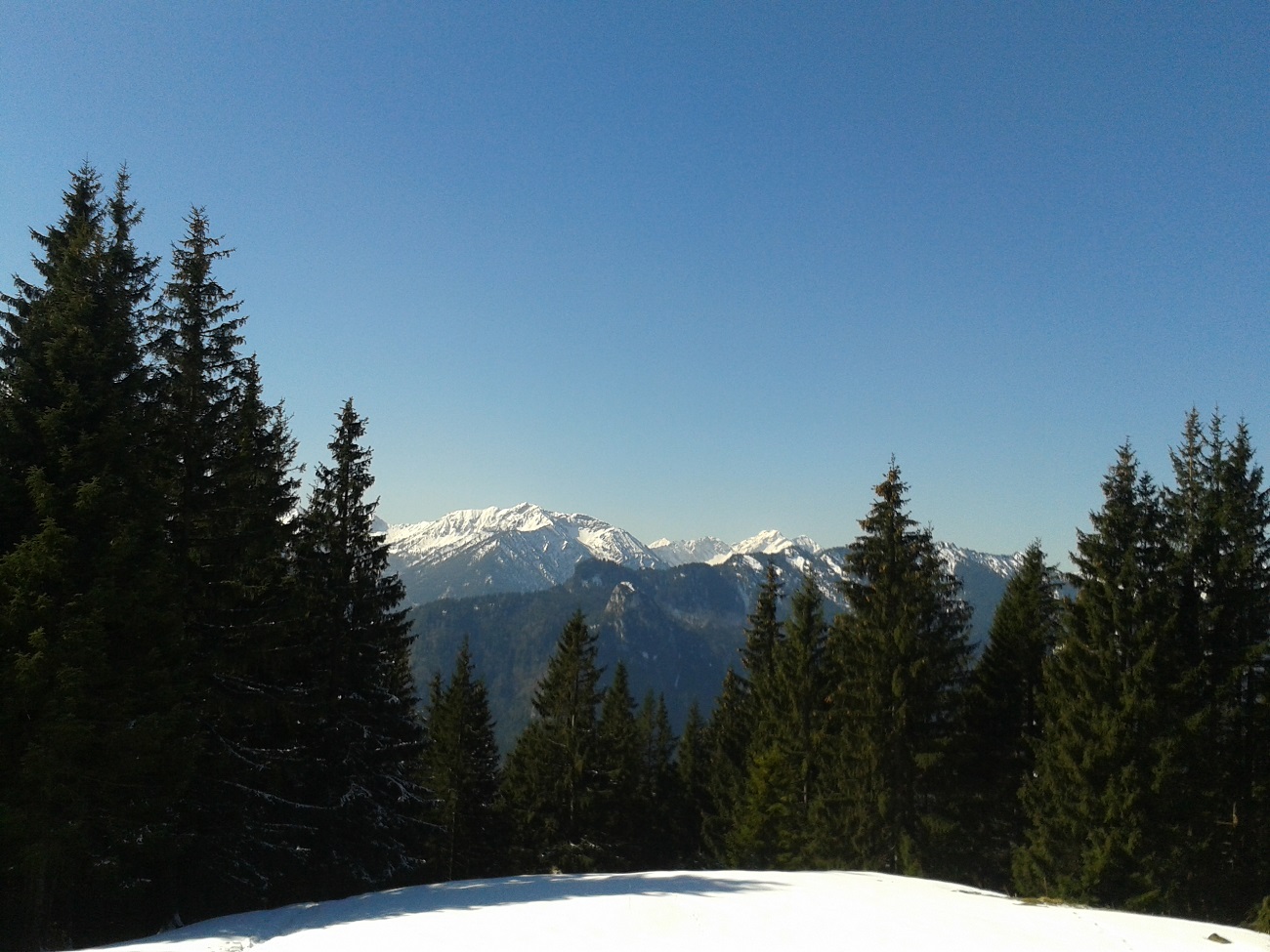 20150328_102959.jpg