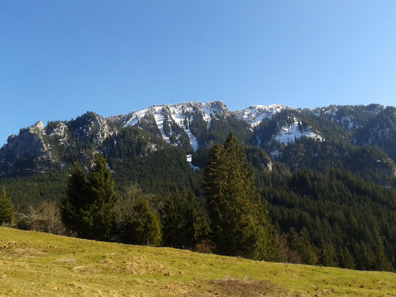 20150328_151212.jpg
