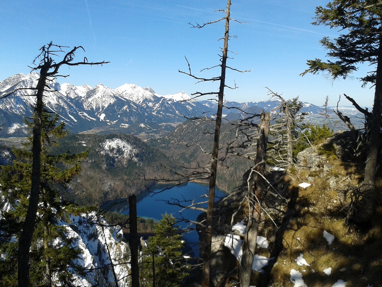 20150409_095924.jpg