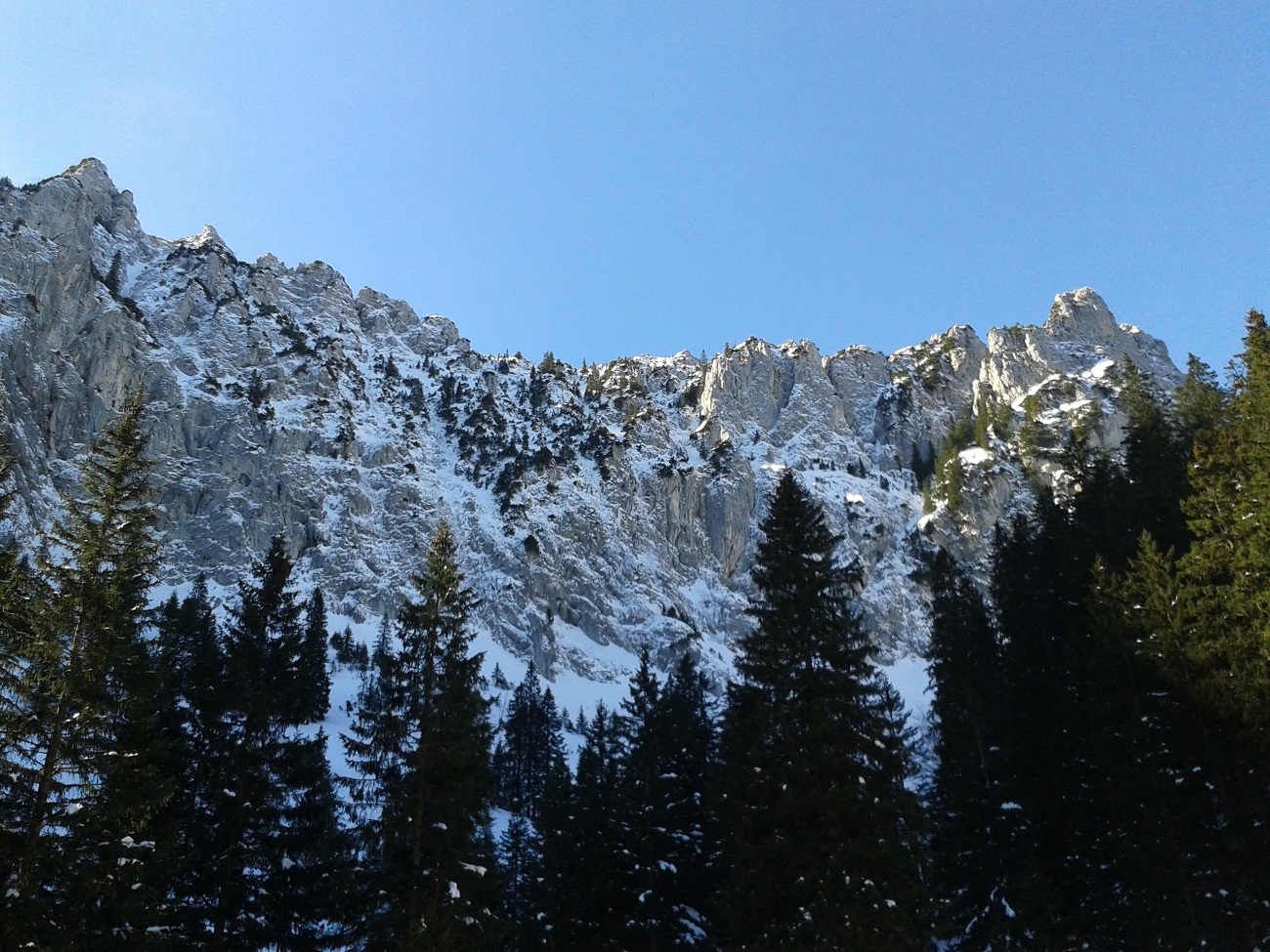20150409_103838.jpg