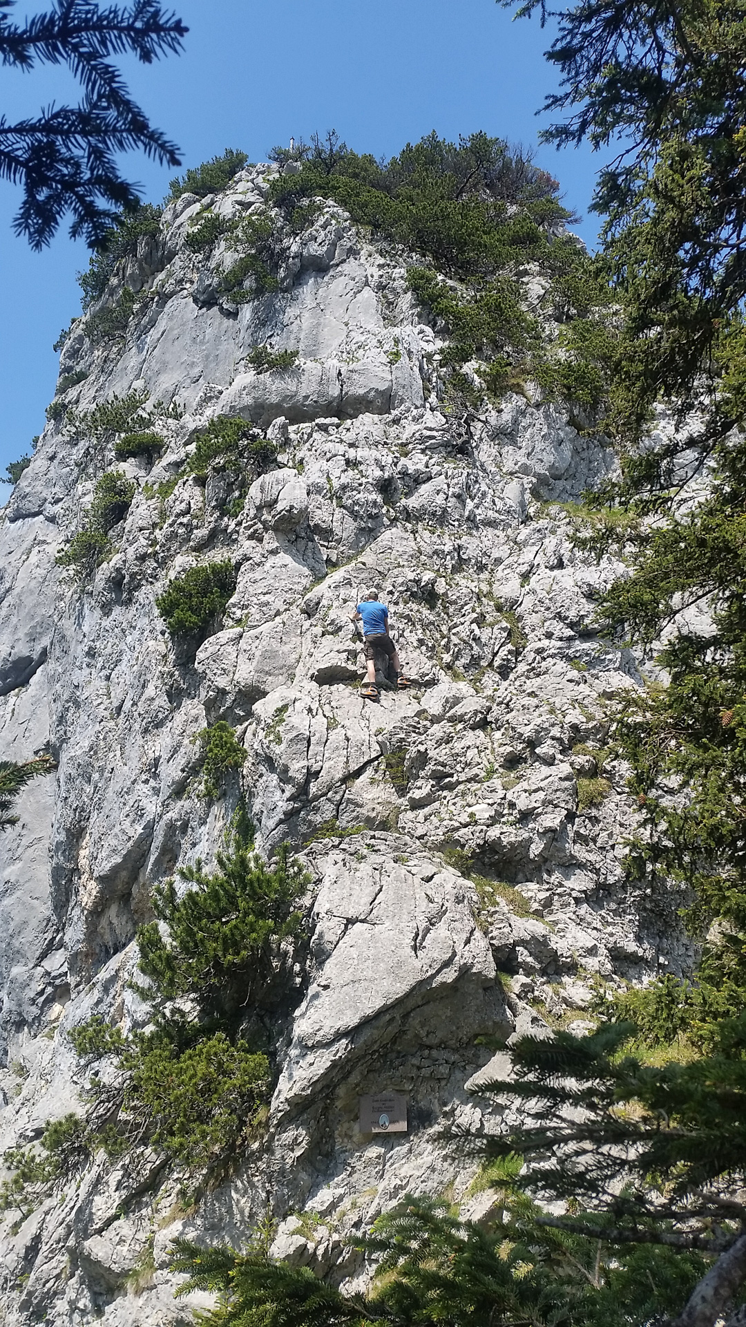 20150606_121655.jpg