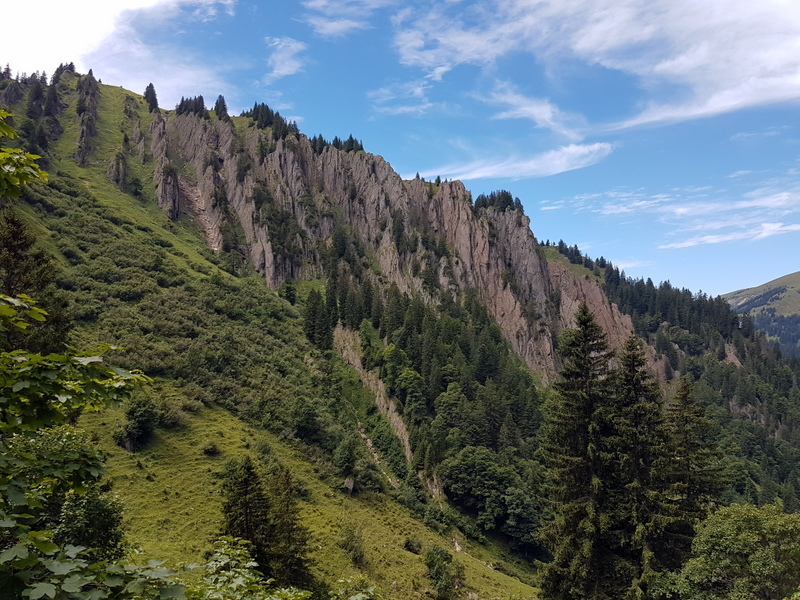20170729_134139.jpg
