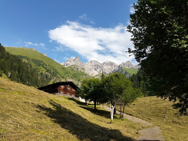 20170731_172804.jpg