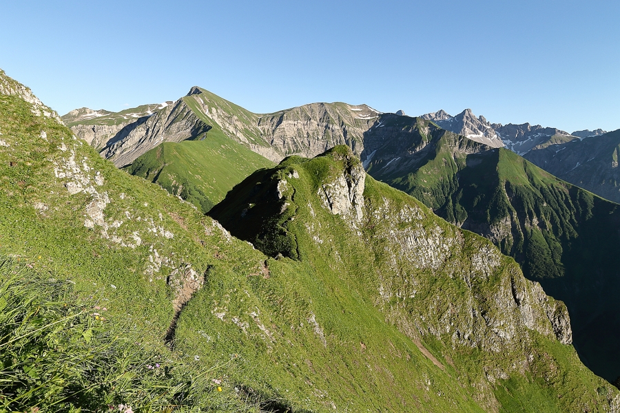 42a_sanftes_Auswandern.jpg