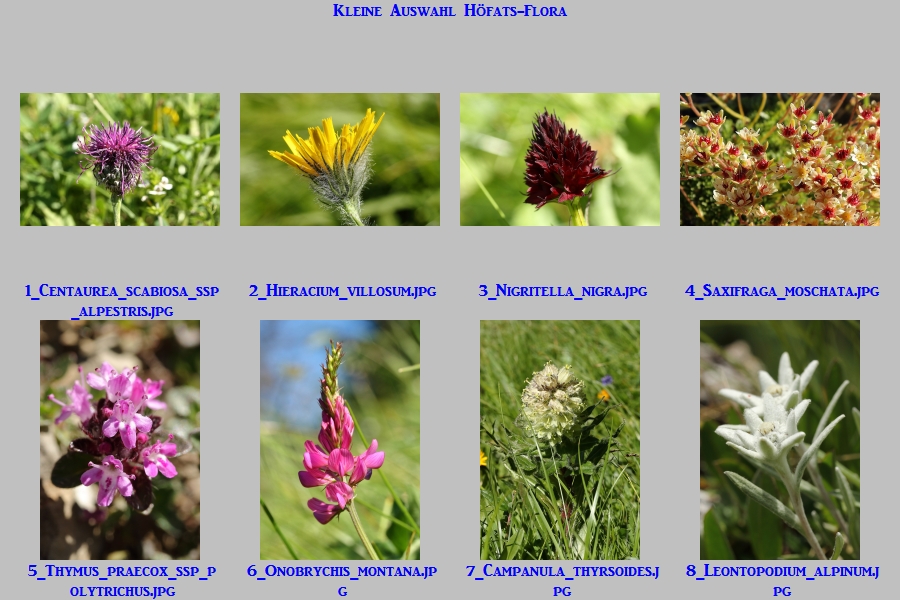 4a_Auswahl_Hoefatsflora.jpg