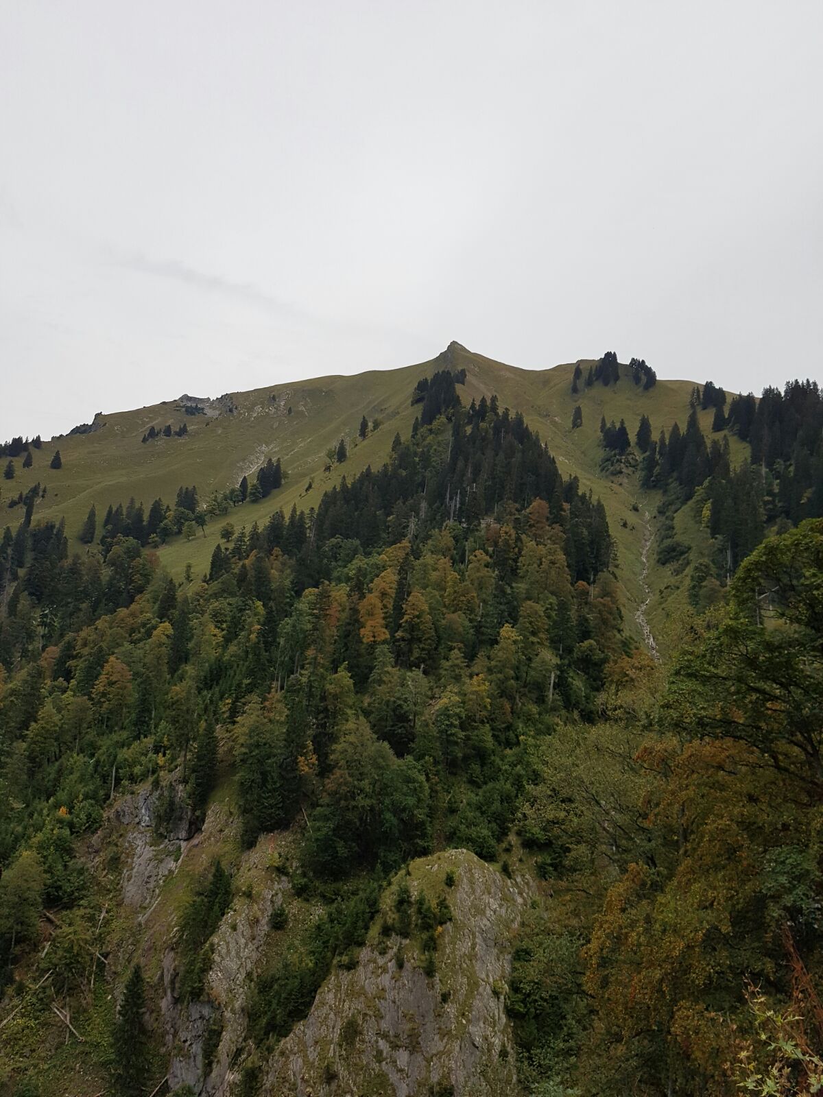 Abstieg vom Älpelekopf ins Erzbachtal.jpg