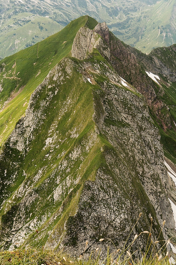 Bild_32.jpg