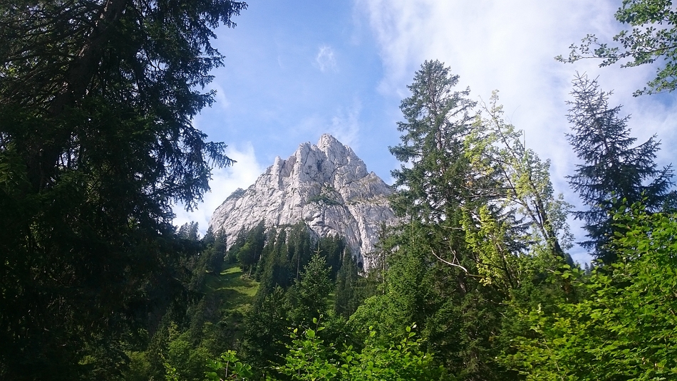 DSC_1624a.jpg