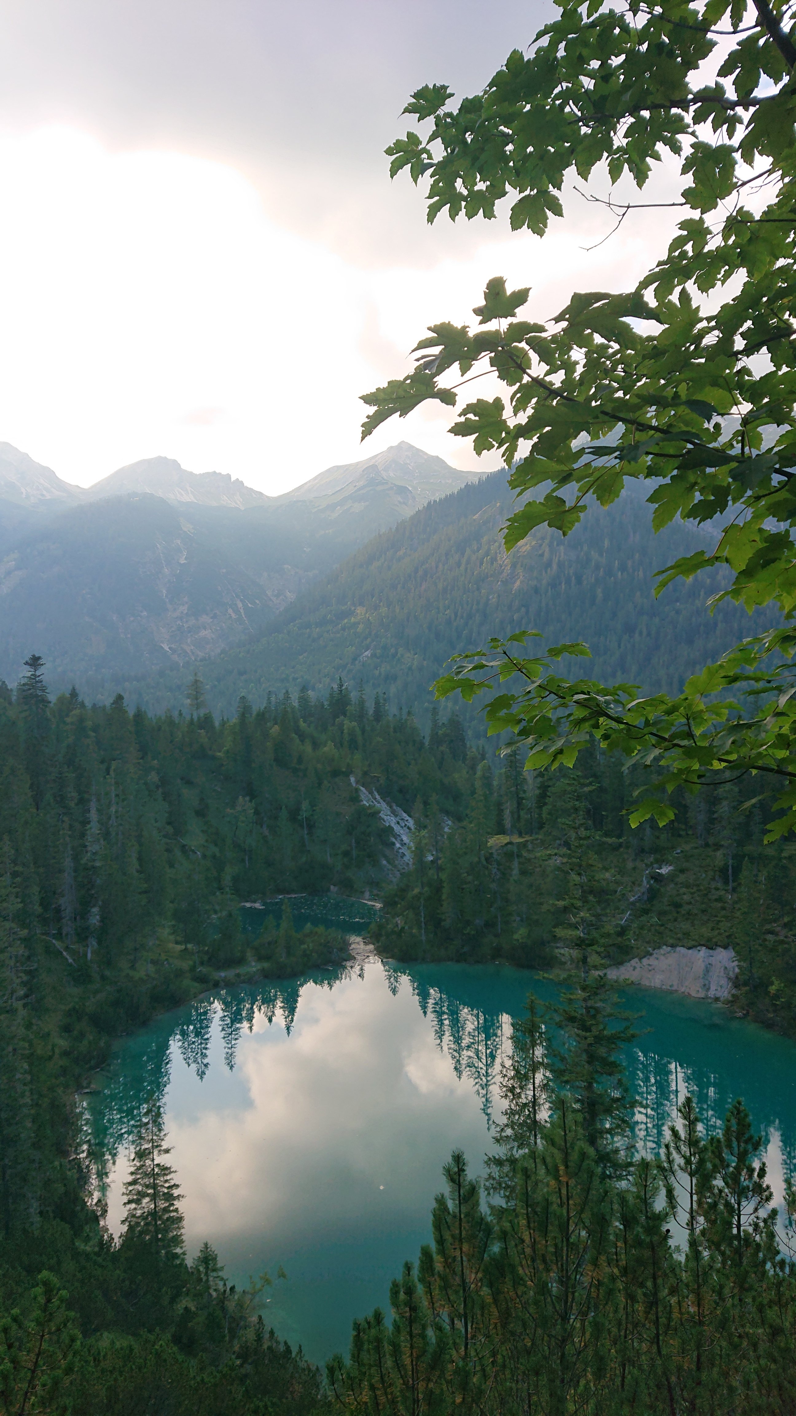 DSC_1844.JPG