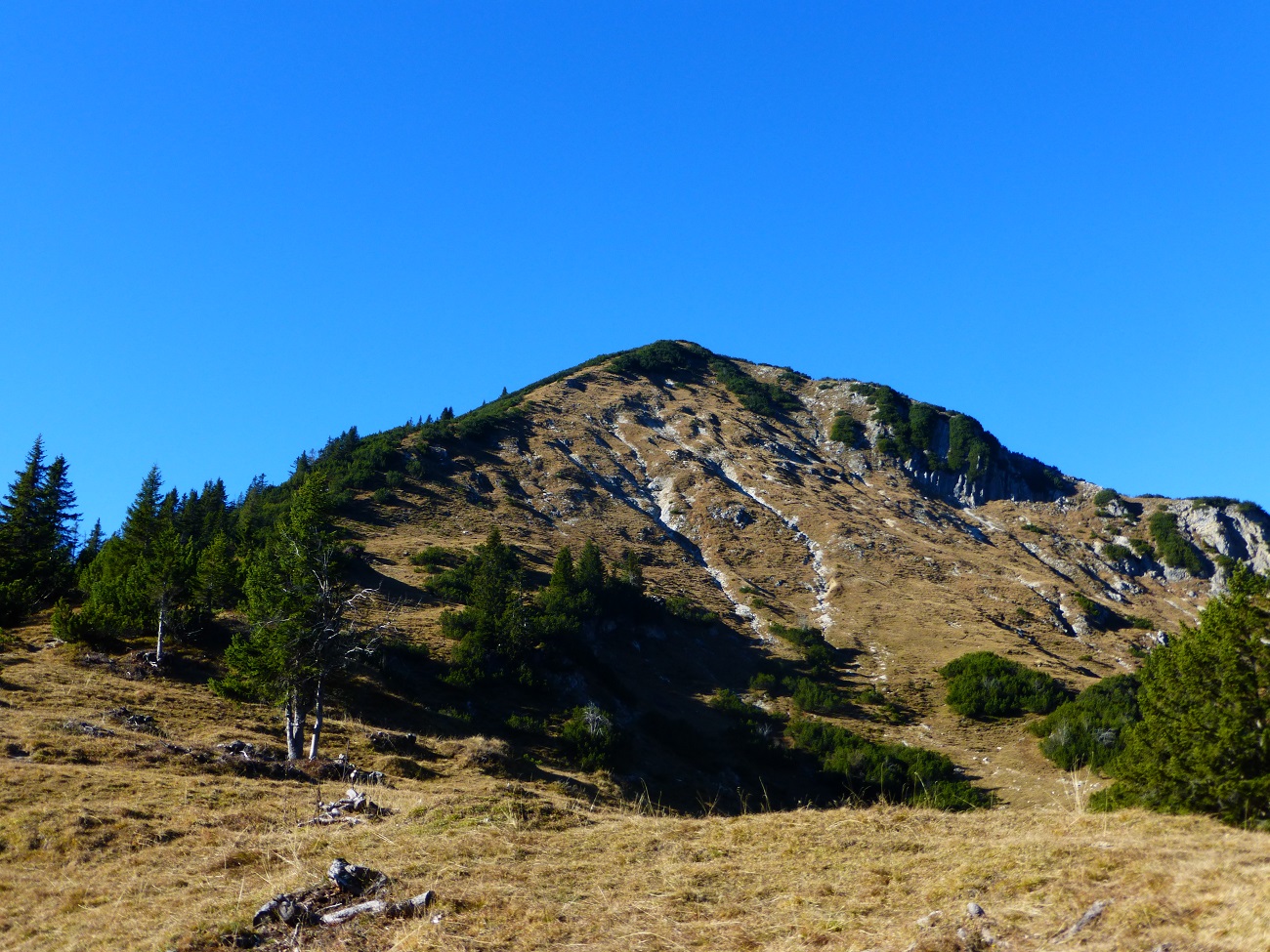 P1090422.JPG