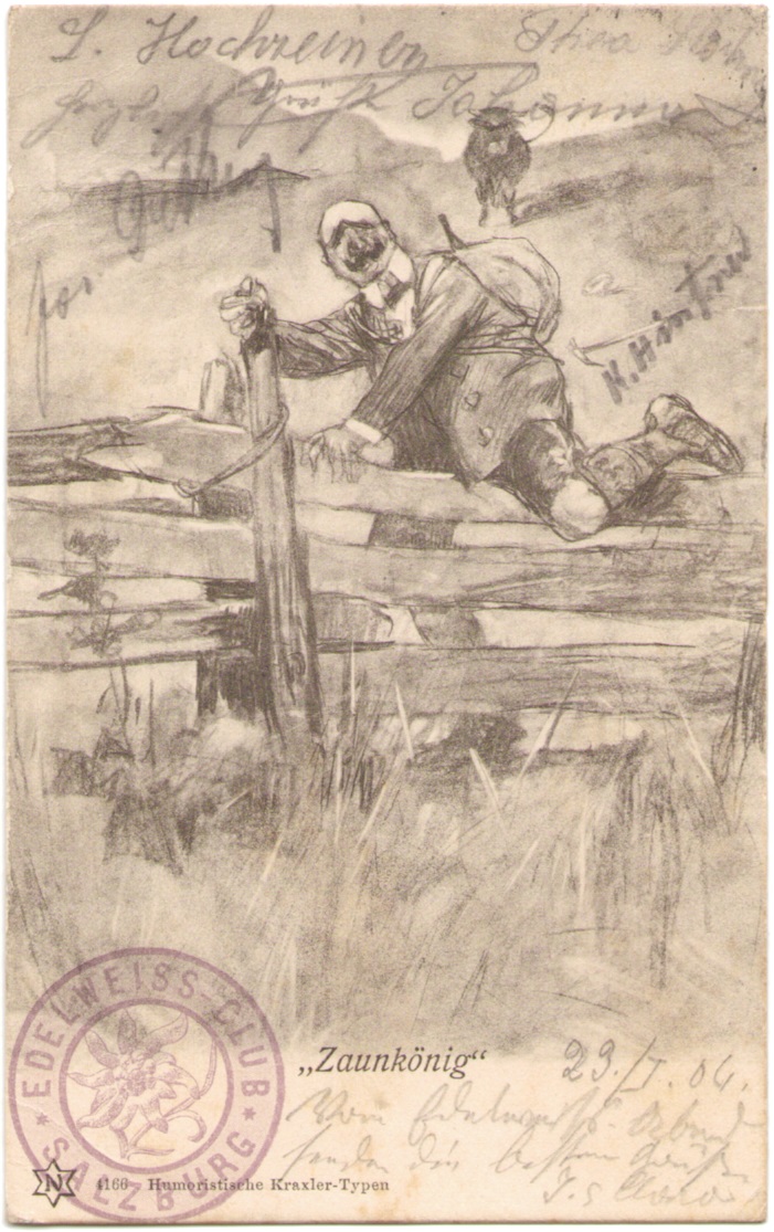Richard Mahn - Zaunkoenig.jpg