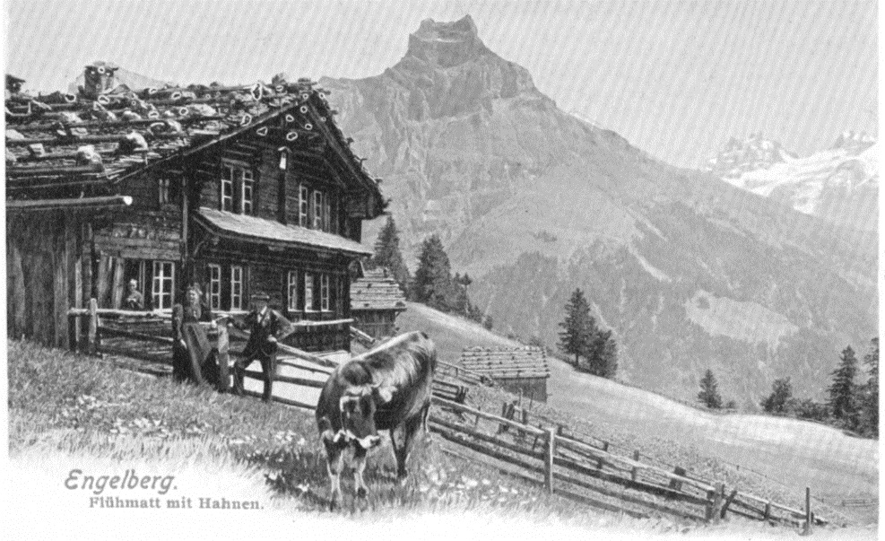 Wehrli19paint.jpg