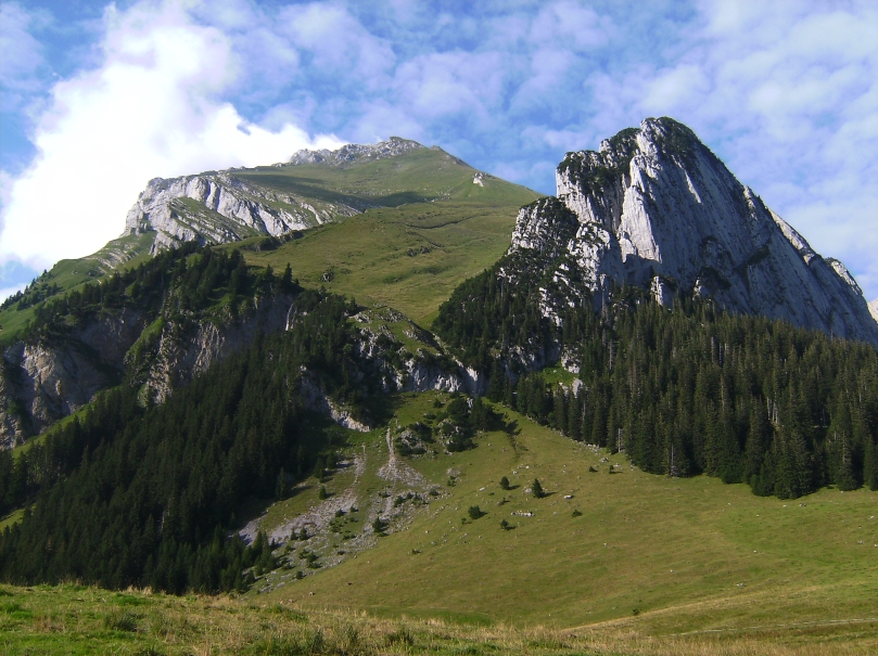 Wildhauser Schafberg02heute.jpg