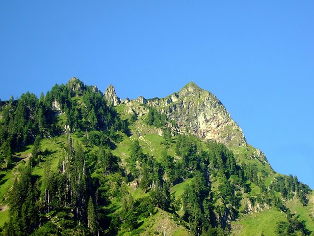 Giebel.jpg
