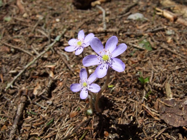 2008_05110081.JPG