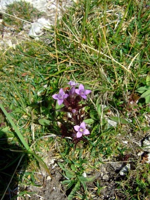 Bild 121.jpg