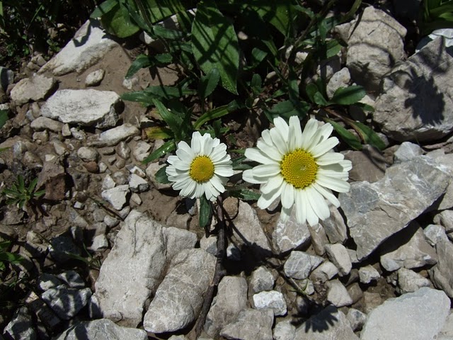 2008_07050101.JPG