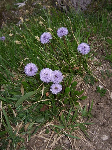 2008_06250048.JPG