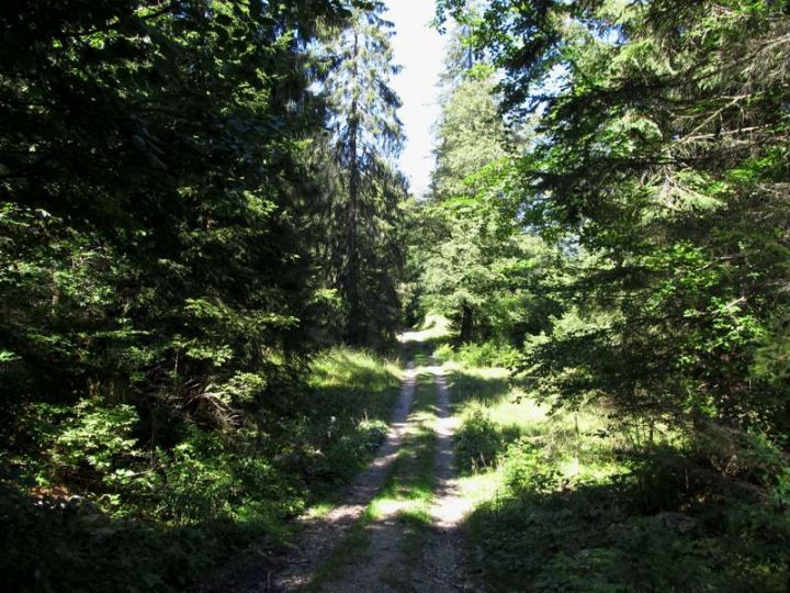 Bild_2.jpg