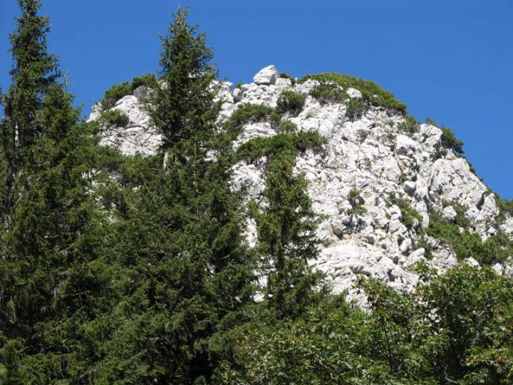 Bild_10.jpg