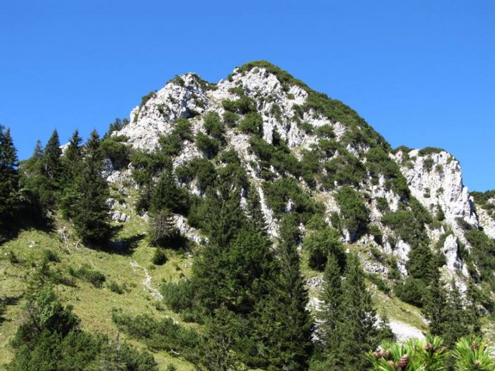 Bild_12.jpg