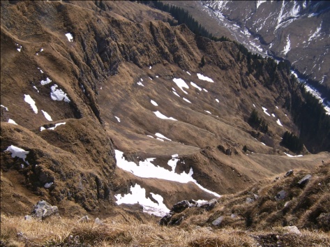 27 Blick steil hinunter zum Hoefatstobel.jpg