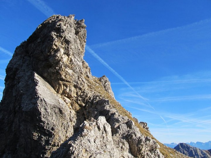 Bild_24.jpg