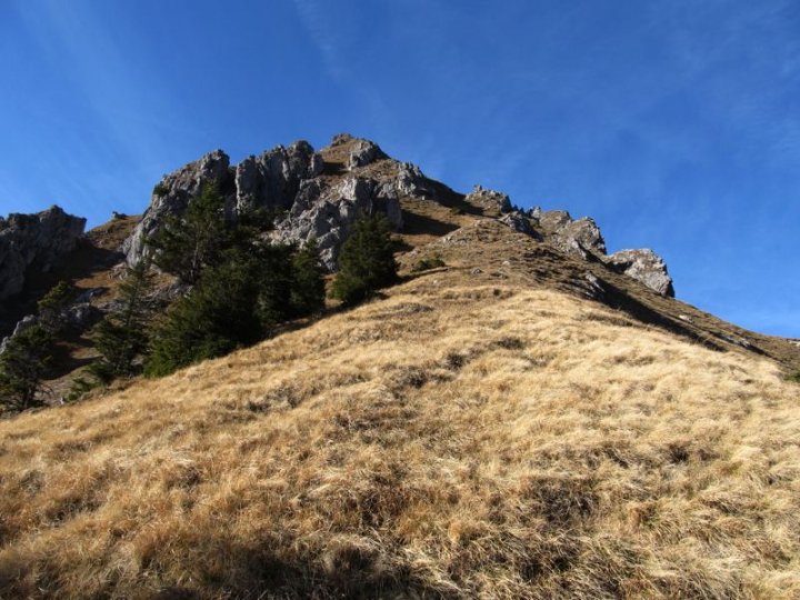 Bild_21.jpg