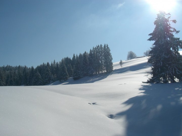 CIMG5049.jpg
