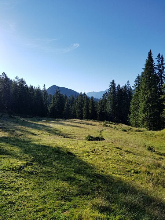 20170815_080306.jpg