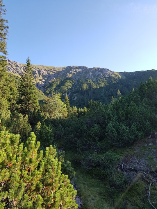 20170815_081300.jpg