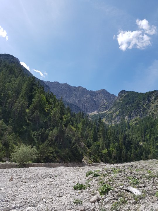 20170815_123159.jpg