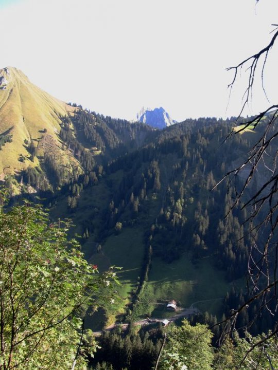 Bild_5_comp.JPG